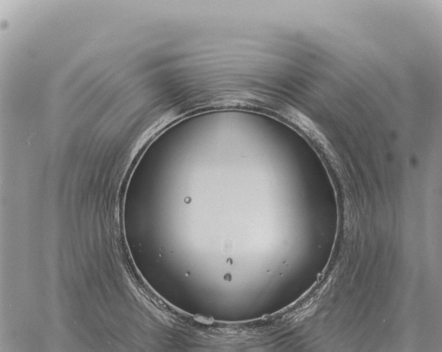 X0000061111234200512091809