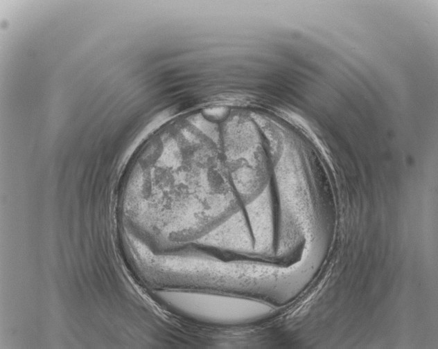 X0000061111235200512091809