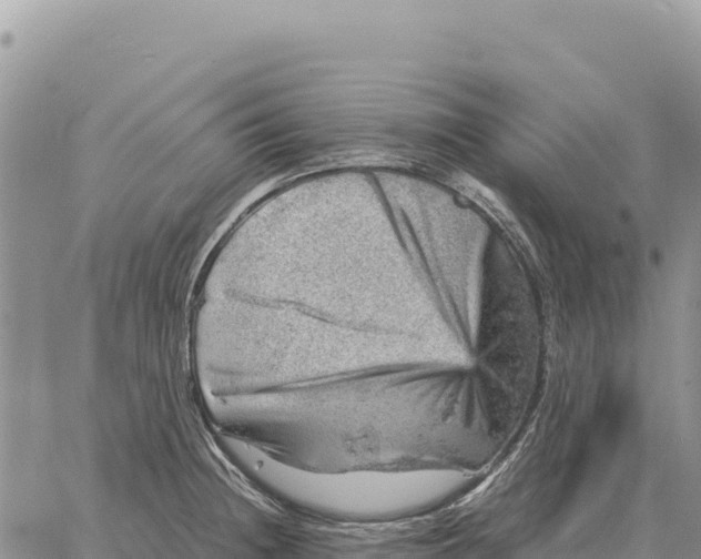 X0000061111236200512091809