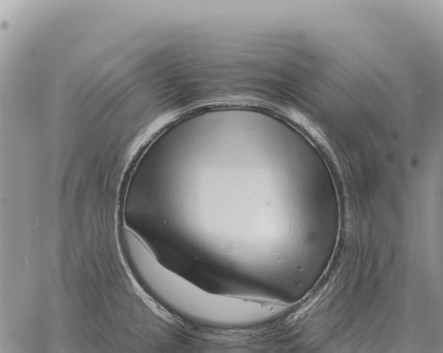 X0000061111237200512091809