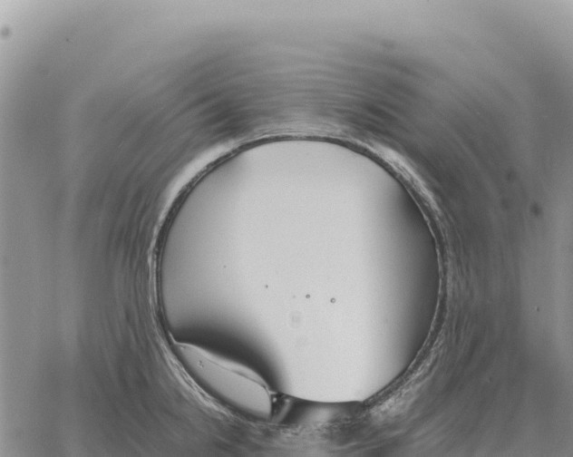 X0000061111238200512091809