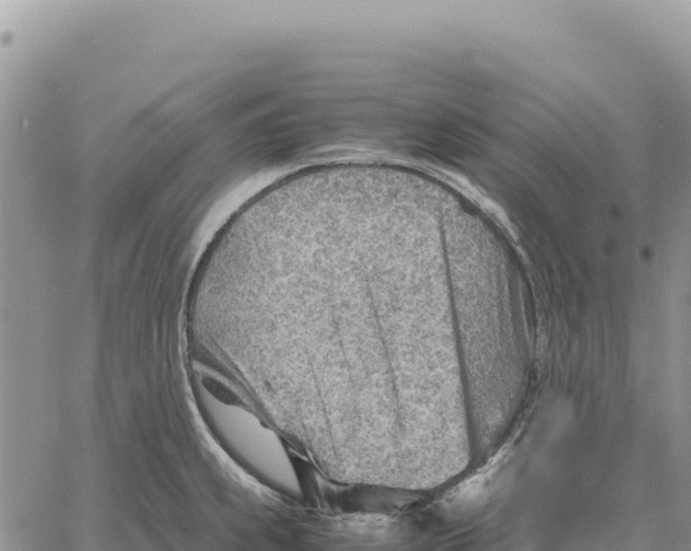 X0000061111239200512091809