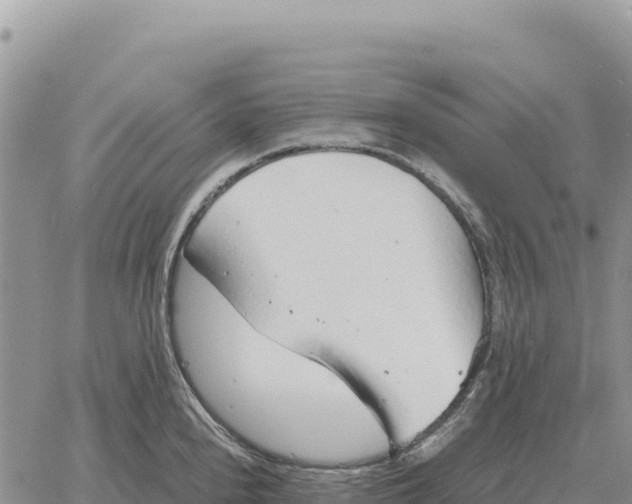 X0000061111240200512091809