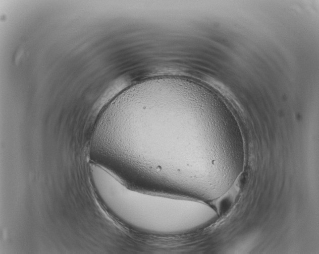 X0000061111241200512091809