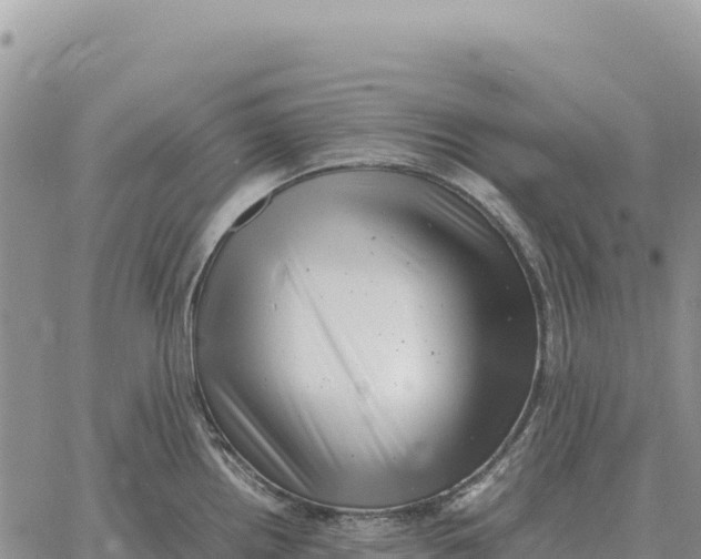 X0000061111242200512091809