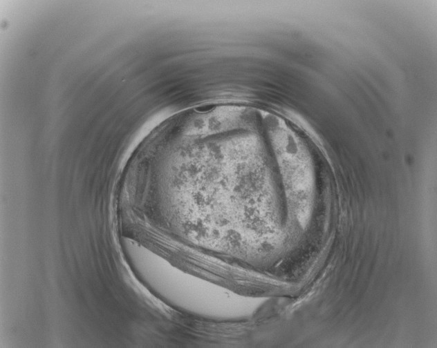 X0000061111243200512091809