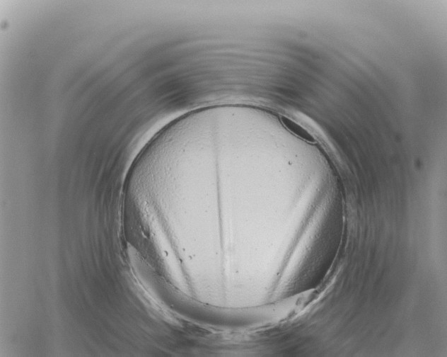 X0000061111244200512091809