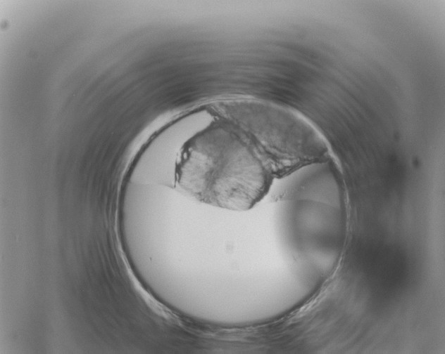 X0000061111245200512091809