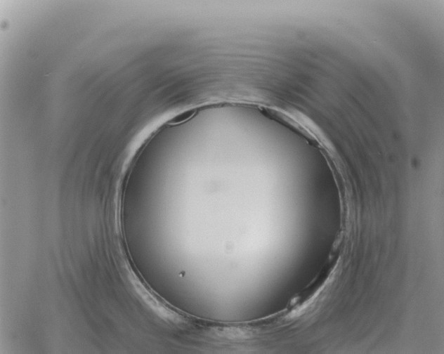 X0000061111246200512091809