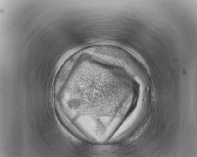 X0000061111247200512091809