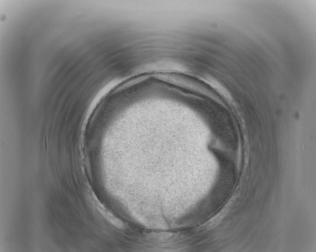 X0000061111248200512091809