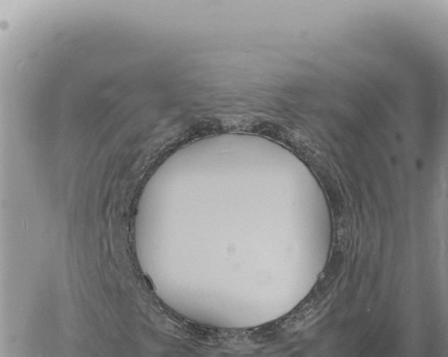 X0000061111249200512091808