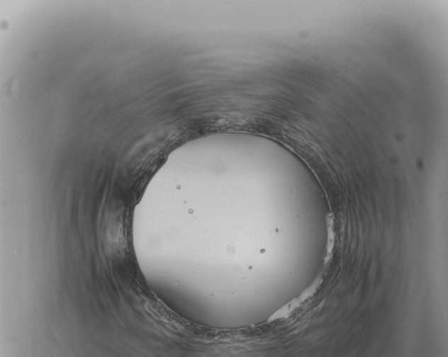 X0000061111250200512091808