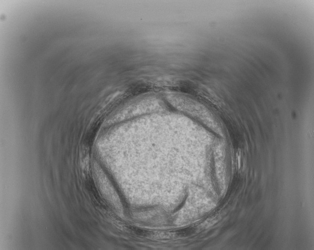 X0000061111251200512091808