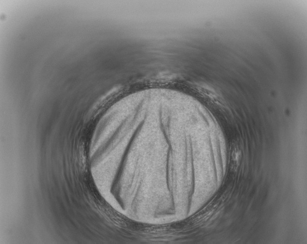 X0000061111252200512091808