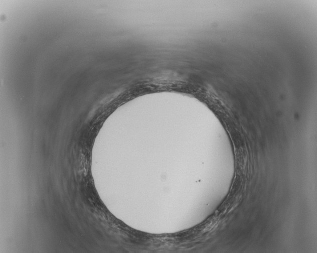 X0000061111253200512091808