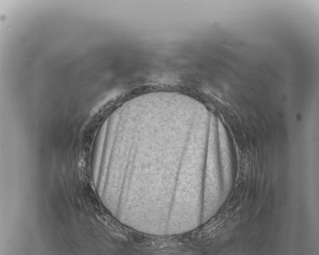 X0000061111254200512091808