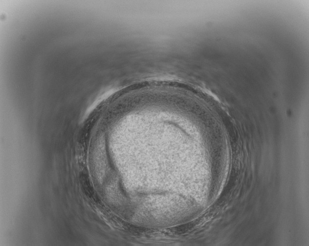 X0000061111255200512091808