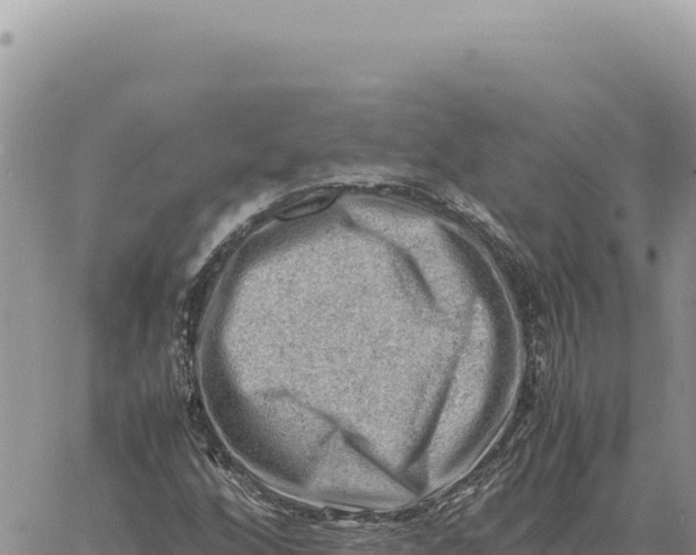 X0000061111256200512091808