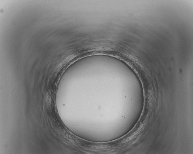 X0000061111257200512091808