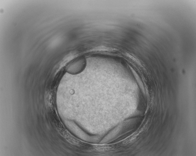 X0000061111258200512091808