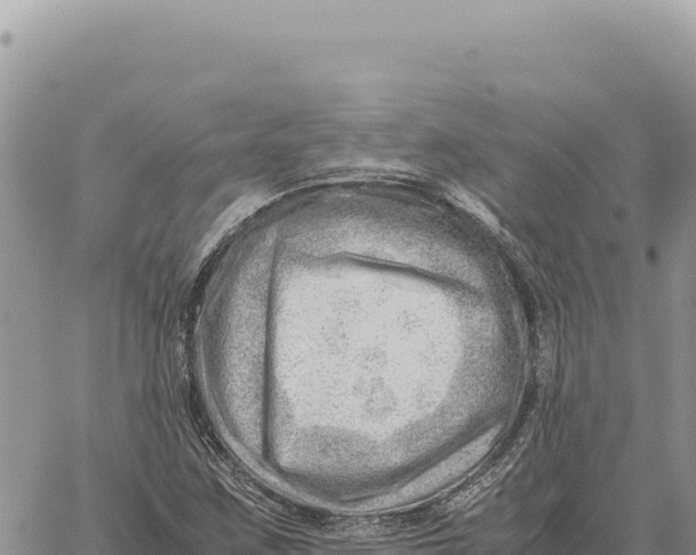 X0000061111259200512091808