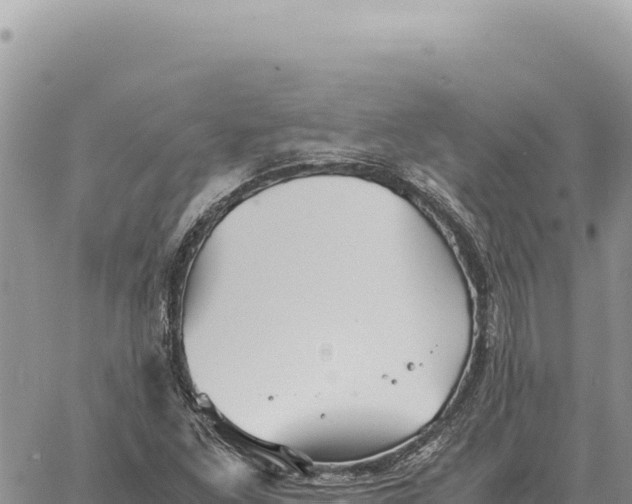 X0000061111261200512091808