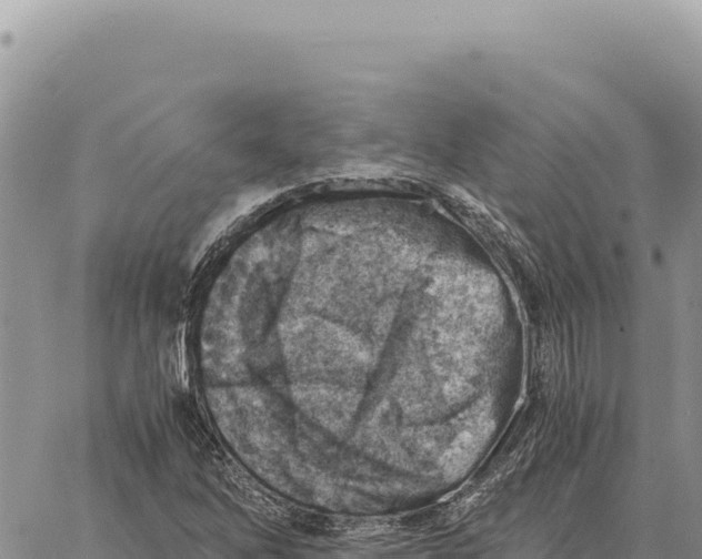 X0000061111262200512091808