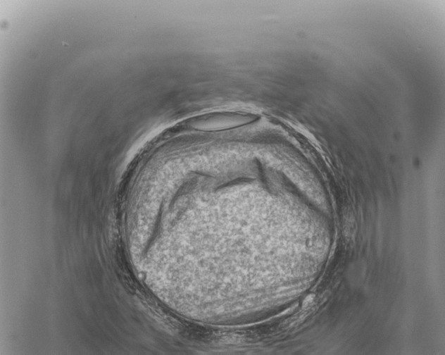 X0000061111263200512091808