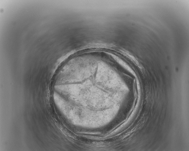 X0000061111264200512091808