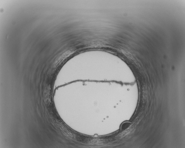 X0000061111265200512091808