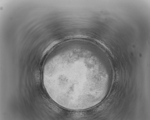 X0000061111266200512091808