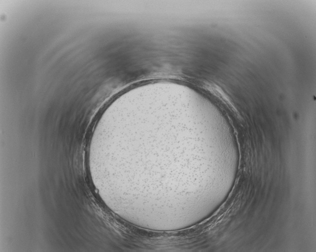 X0000061111268200512091808