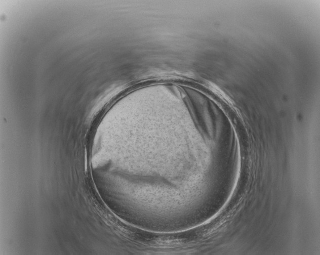 X0000061111269200512091808