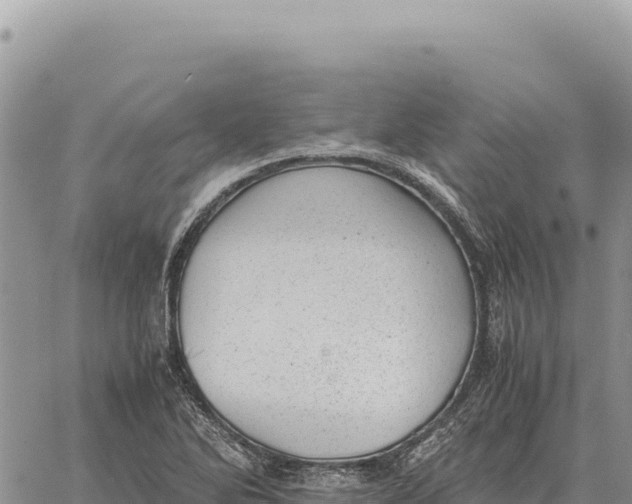 X0000061111270200512091808