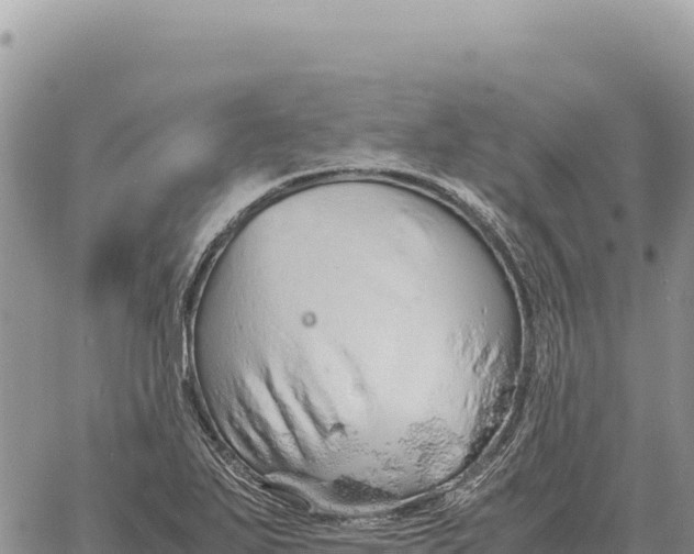 X0000061111271200512091808