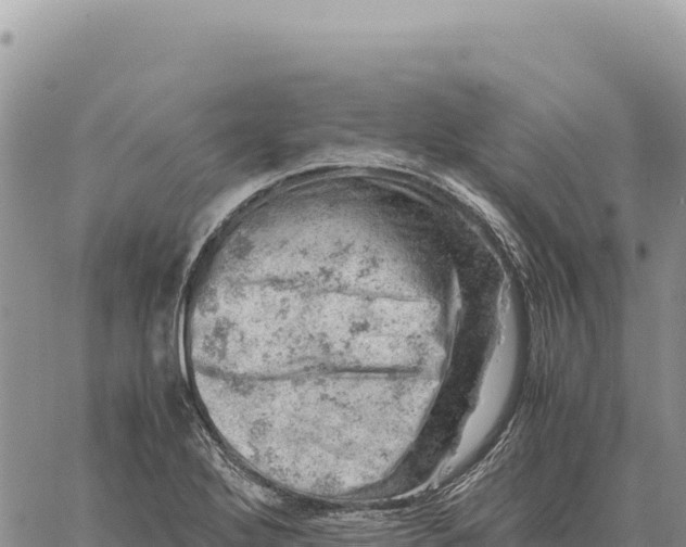 X0000061111272200512091808