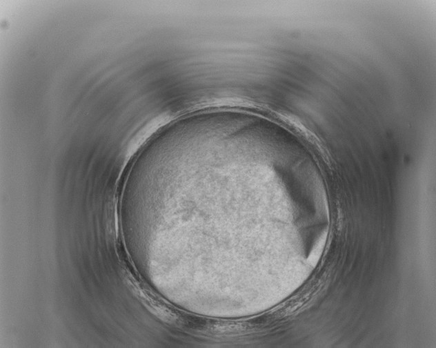 X0000061111274200512091808