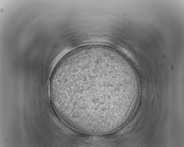 X0000061111275200512091808