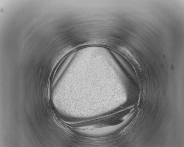 X0000061111276200512091808