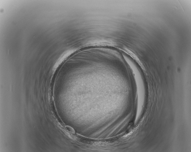 X0000061111277200512091808