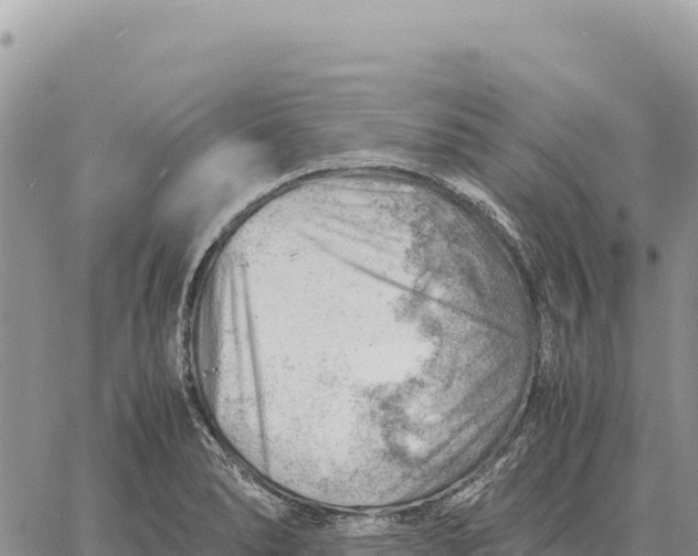 X0000061111278200512091808