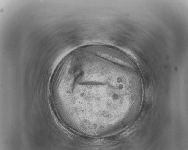 X0000061111279200512091808