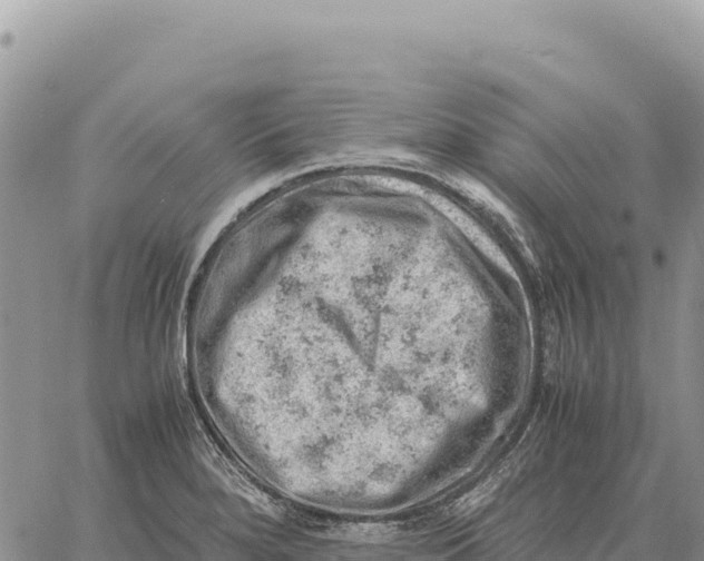 X0000061111280200512091808