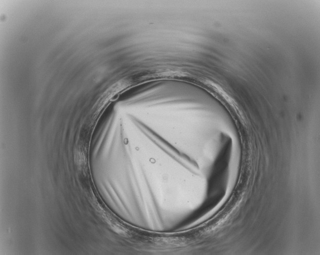 X0000061111281200512091808