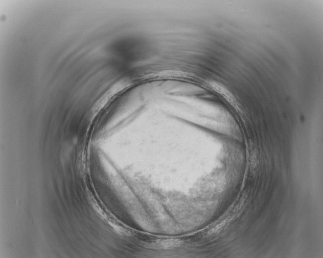 X0000061111282200512091808