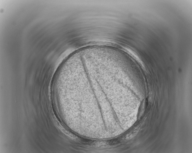 X0000061111283200512091808