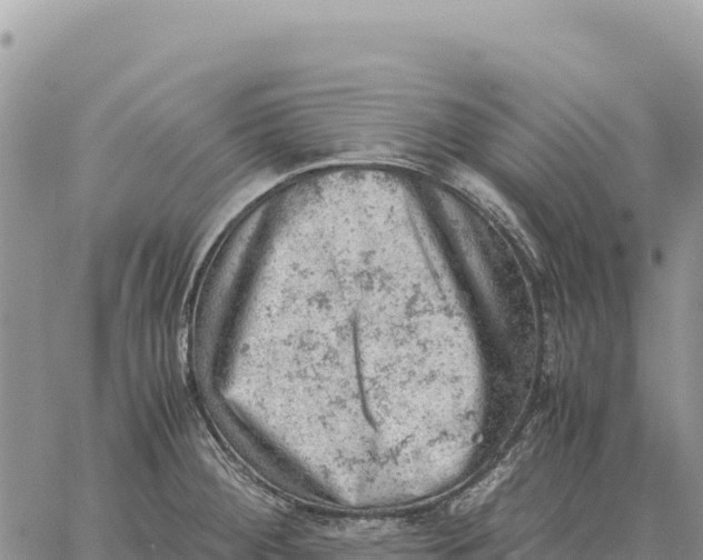 X0000061111284200512091808