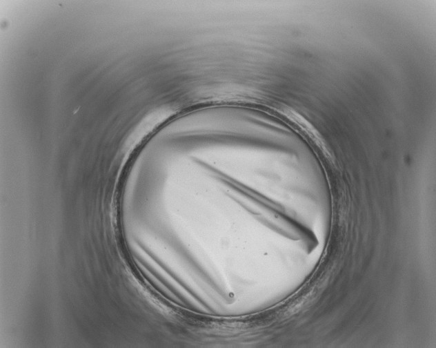 X0000061111285200512091808