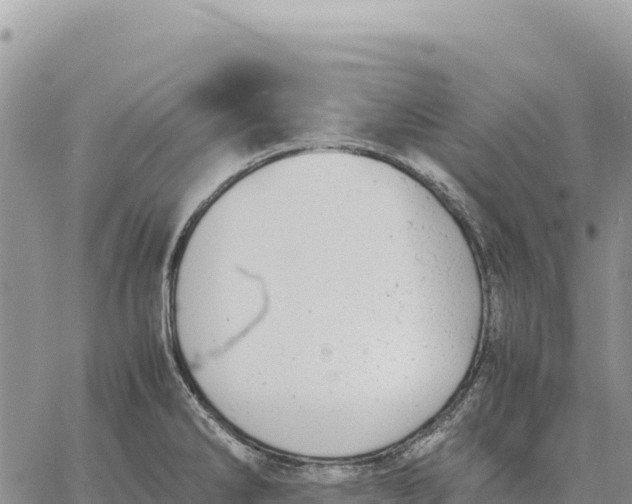 X0000061111286200512091808